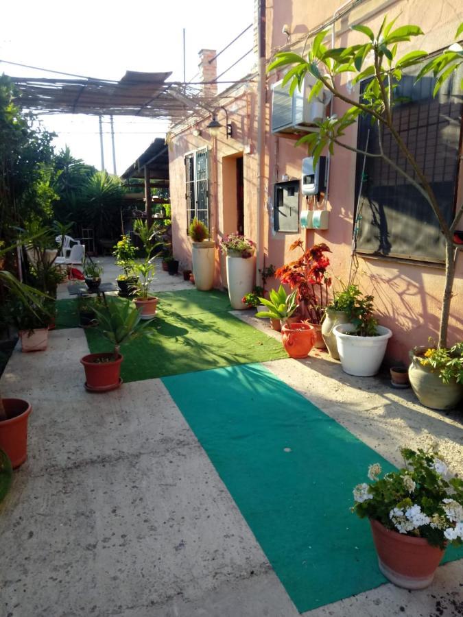 B B Casa Vacanze Il Pino Di Pino Lascari Bagian luar foto