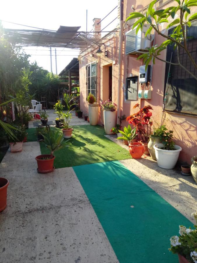 B B Casa Vacanze Il Pino Di Pino Lascari Bagian luar foto